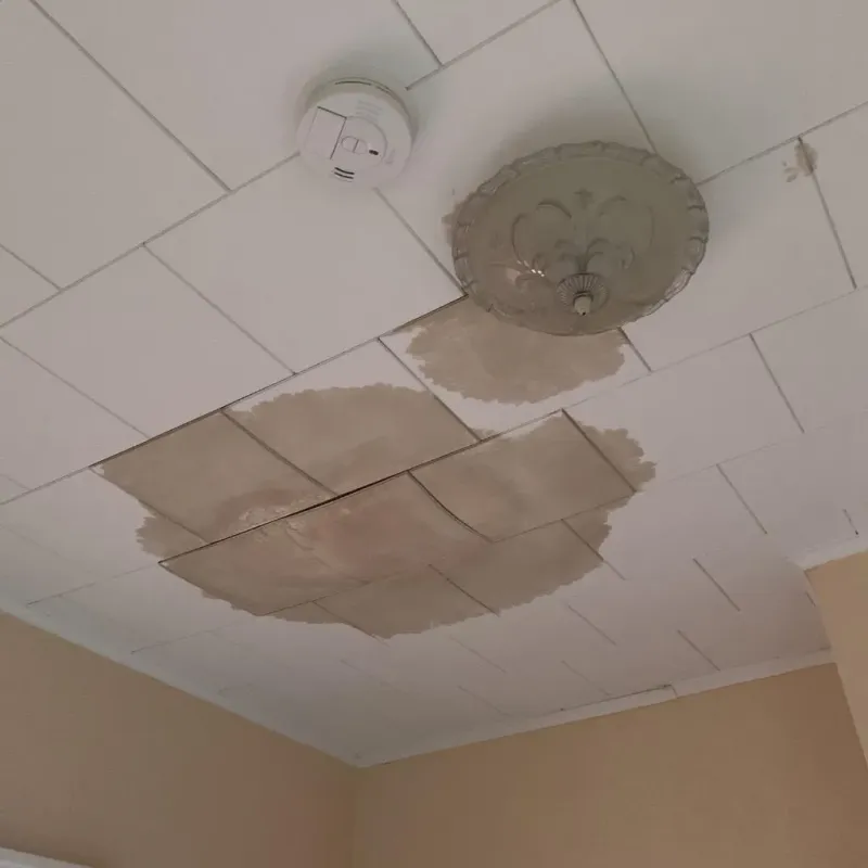 Ceiling Water Damage Repair in Moundsville, WV