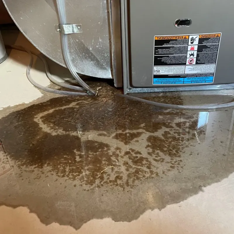 Pipe Burst and Leak Restoration in Moundsville, WV