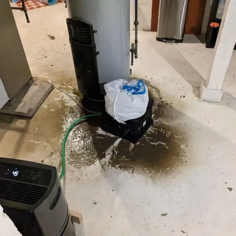 Sewage Backup Cleanup Service in Moundsville, WV